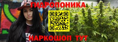 ПСИЛОЦИБИНОВЫЕ ГРИБЫ Краснодар