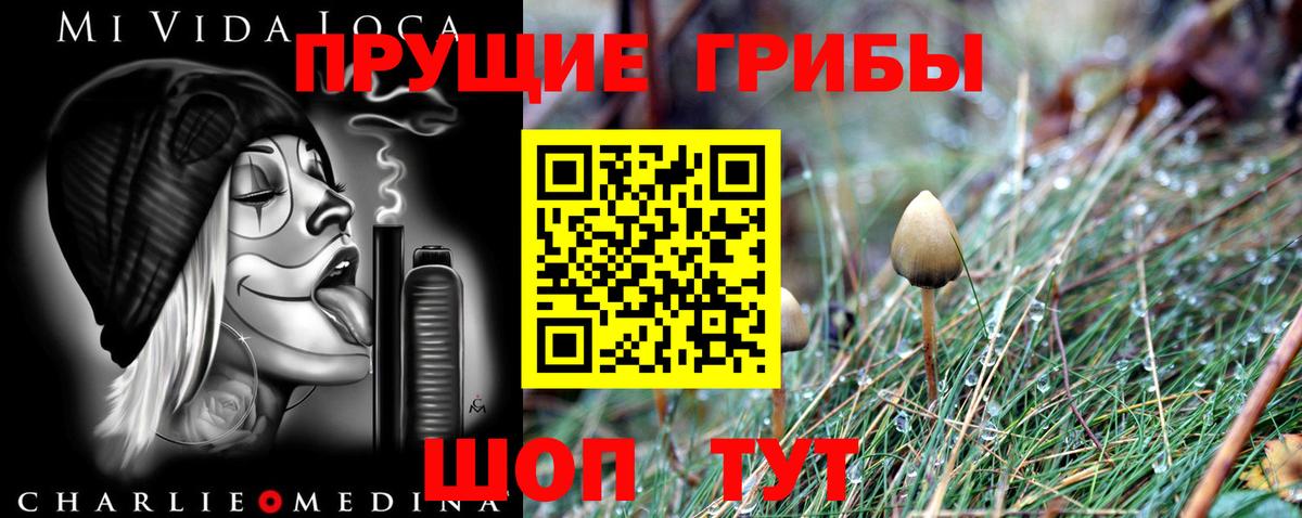Галлюциногенные грибы мухоморы Маркс